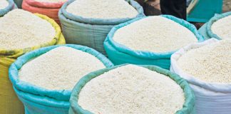 চাল আমদানি বন্ধের সিদ্ধান্ত নিল সরকার
