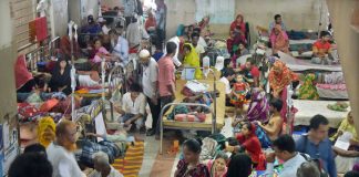 ঢাকাসহ ৫০ জেলায় শনাক্ত করা হয়েছে ডেঙ্গু রোগী
