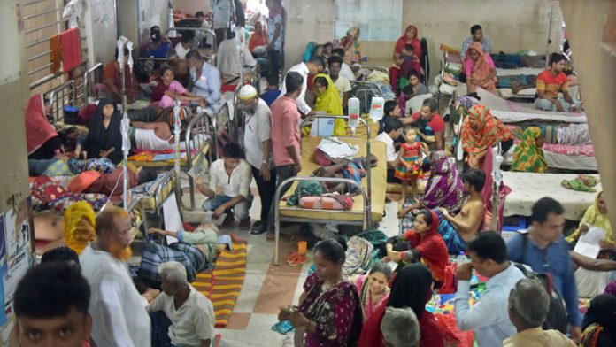 50 jalay sonakto dengu rogi