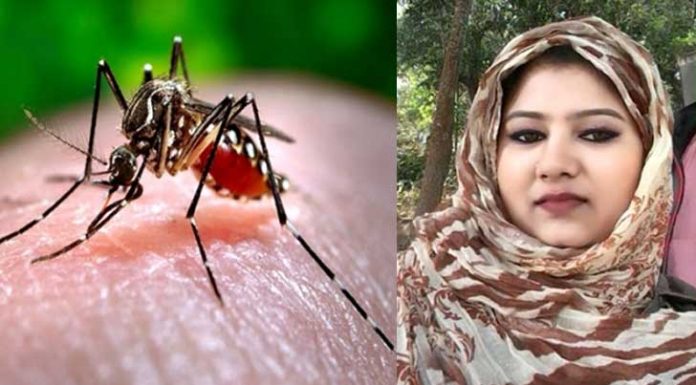 ঢাকায় ডেঙ্গু জ্বরে বেনাপোলের রুমানার মৃত্যু