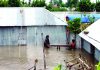 কুড়িগ্রামে সার্বিক বন্যা পরিস্থিতি অপরিবর্তিত রয়েছে