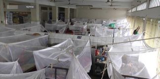 দেশের ডেঙ্গু পরিস্থিতি