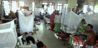 দেশের ডেঙ্গু পরিস্থিতি