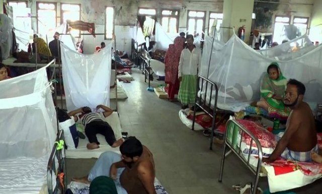দেশের ডেঙ্গু পরিস্থিতি