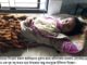 সিংড়ায় প্রতিপক্ষের হামলায় গৃহবধু আহত