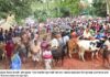 সিংড়ায় চেয়ারম্যানের উদ্যোগে নতুন গবাদী পশুর হাট