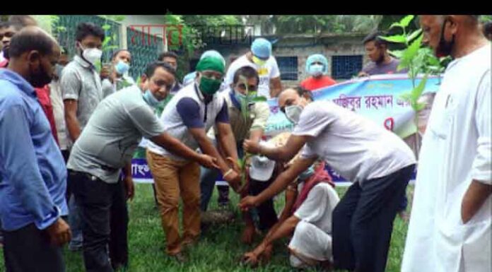 জাতির জনক বঙ্গবন্ধুর জন্মশতবর্ষিকী মুজিববর্ষ উপলক্ষ্যে বৃক্ষরোপণ