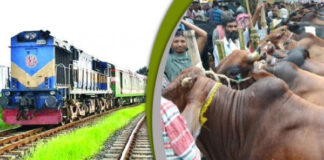 ঈদুল আযহায় বাংলাদেশ রেলওয়ে কোরবানীর পশু পরিবহণের পরিকল্পনা নিয়েছে
