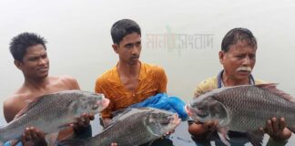 হোসেনপুরে মৎস্য শিকার আয়োজন : প্রথম পুরষ্কার ২ লাখ টাকা