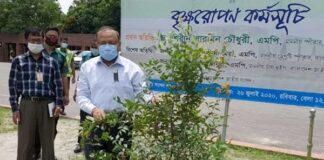 বৃক্ষরোপণকে সামাজিক আন্দোলনে পরিণত করতে হবে : স্থানীয় সরকার মন্ত্রী