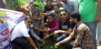 প্রধানমন্ত্রীর জন্মদিন উপলক্ষে ঝালকাঠিতে যুবলীগের বৃক্ষরোপণ