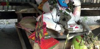 ঝালকাঠিতে কালি মন্দিরের প্রতিমা ভাঙচুর