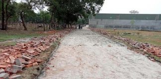 গাজীপুরে প্যারাগনের দখল থেকে বনভূমি উদ্ধার