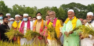 হাওরে প্রায় শতভাগ বোরো ধান কাটা শেষ : কৃষিমন্ত্রী