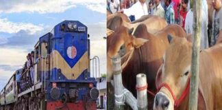১৭ থেকে ১৯ জুলাই রেলওয়ের বিশেষ ‘ক্যাটল স্পেশাল’ ট্রেন পরিচালনা