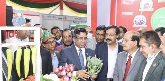 সবজি রপ্তানি বৈদেশিক মুদ্রা অর্জনের অন্যতম উৎস হবে