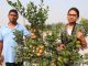 পরিত্যক্ত জায়গায় মিশ্র ফল ও সবজি বাগানে সফল মিঠু